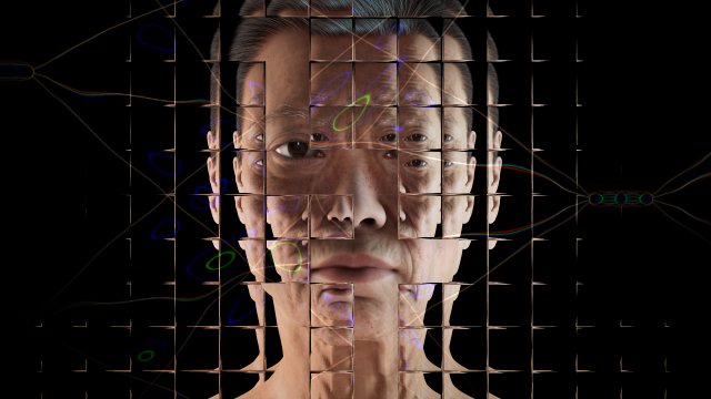 This image shows a portrait of a simulated middle-aged white woman against a black background. The scene is refracted in different ways by a fragmented glass grid.